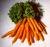Блогер sugar-carrot